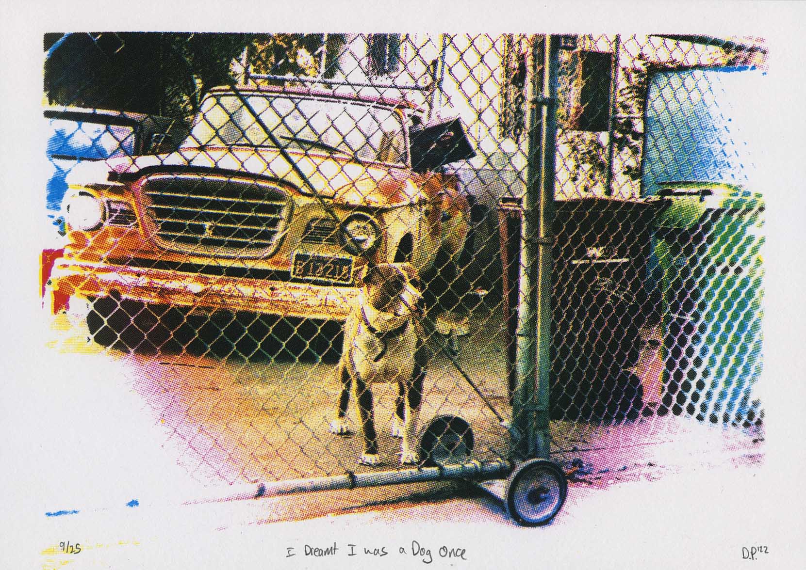 I Dreamt I Was a Dog Once